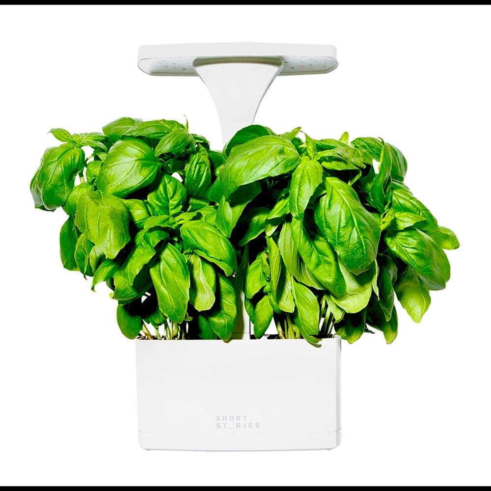 Short Stories Indoor Planter (NIB)